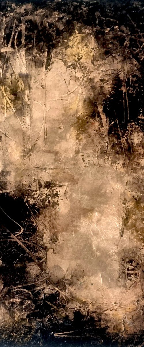 Shadows by Davina Nicholas
