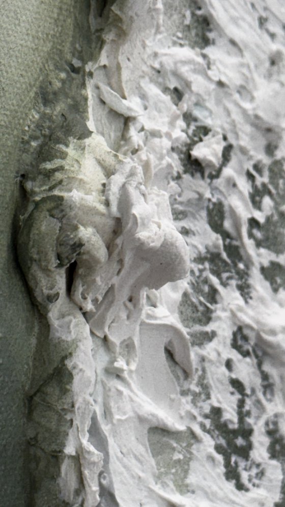 Whitsundays Green Tide