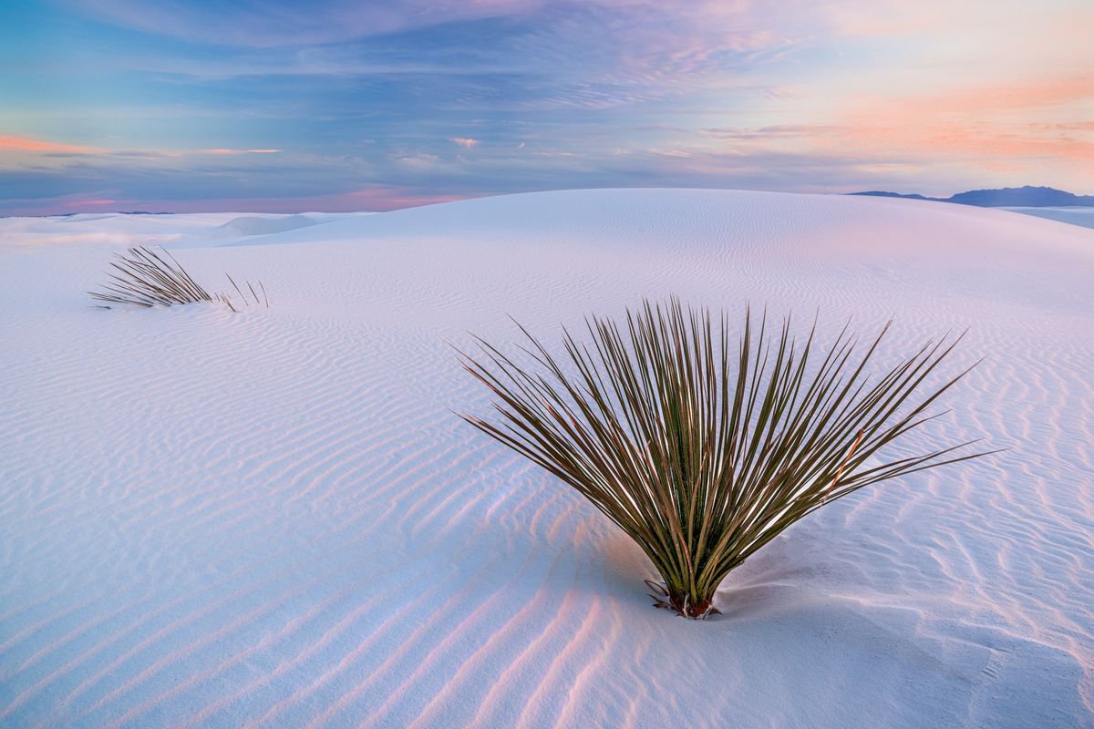 White Dunes, New Mexico - Limited Edition by Francesco Carucci