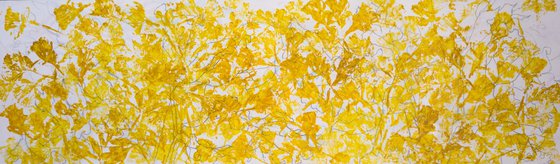 Yellow is a Big Part of Daffodils