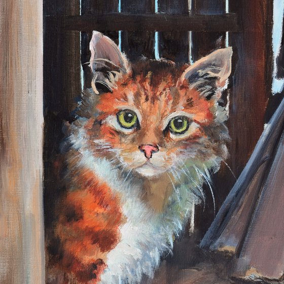 Tabby orange cat in a barn
