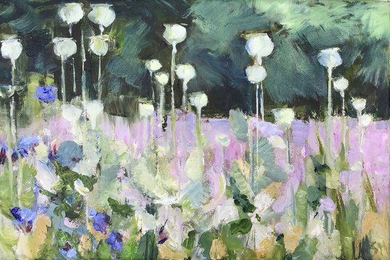 Poppy Heads