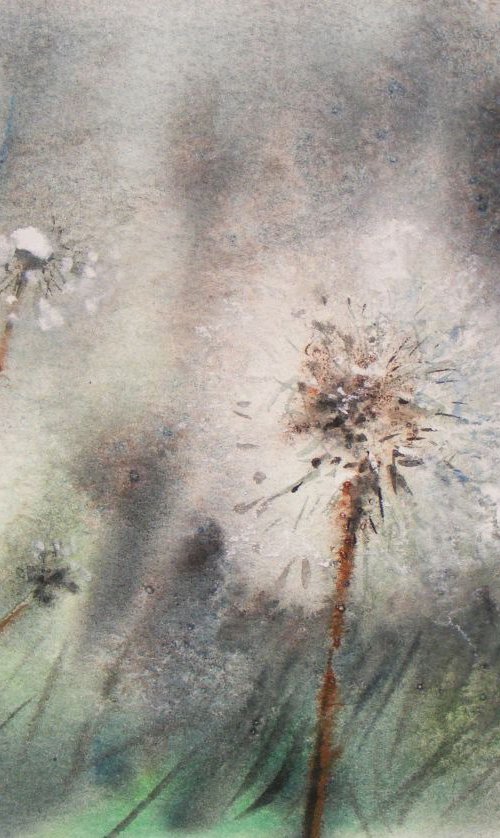 Dandelions by Ivan  Grozdanovski