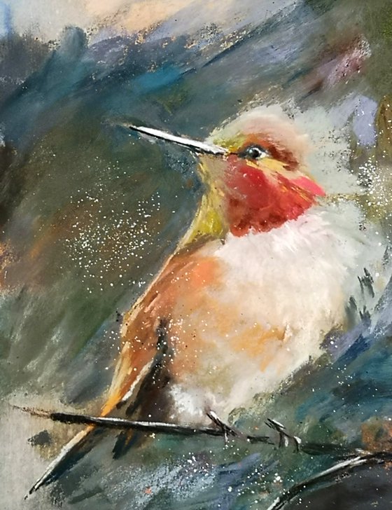 Hummingbird  (pastel)