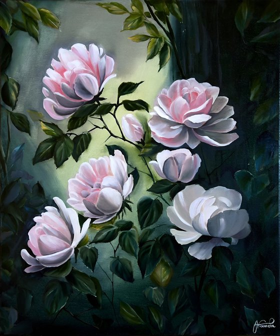 Wild Roses