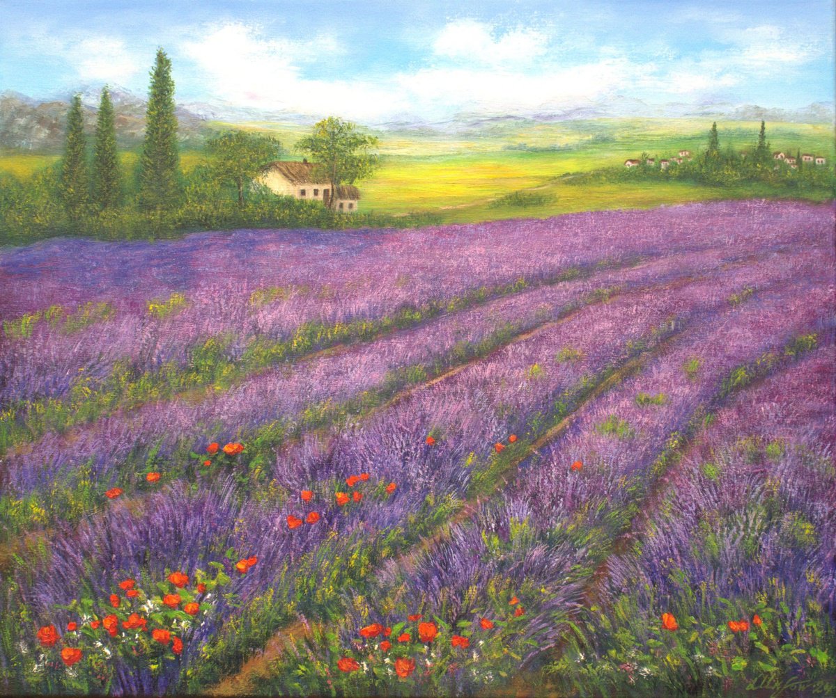 Lavender field  Provence by Ludmilla Ukrow