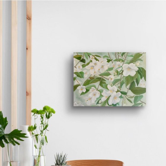 Orange Blossoms