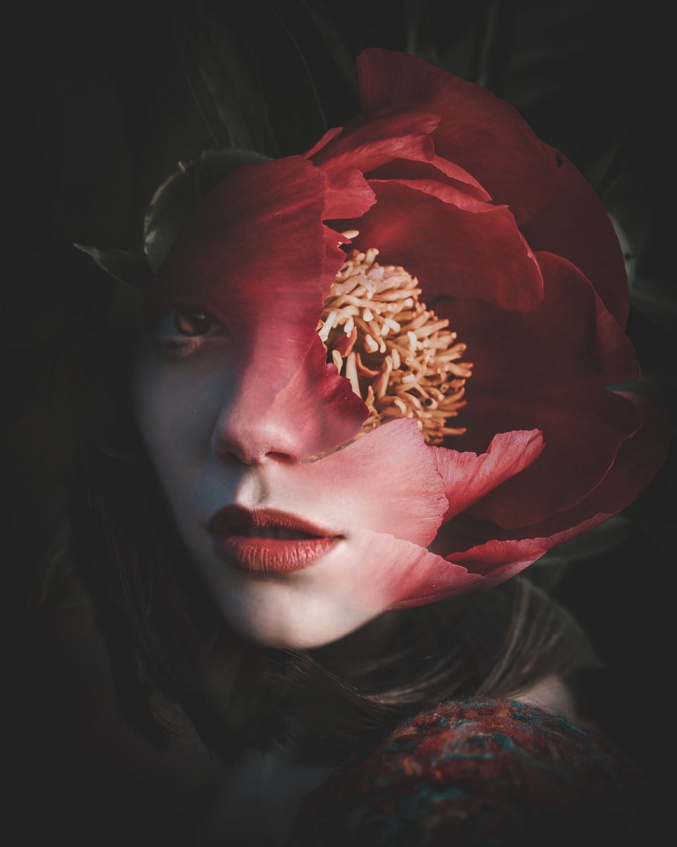 Botanical collection Vol 21. Sensual. Art portrait on canvas by Elmira Namazova