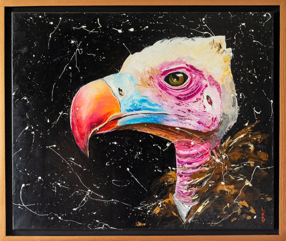 VULTURE (FRAMED)