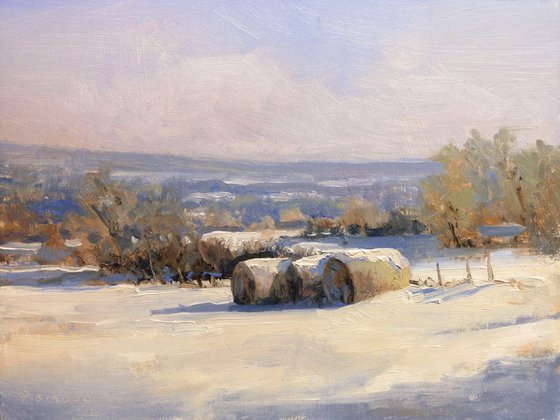 Hay Bales under Snow