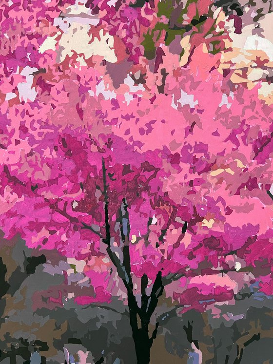 Blossom Reflections
