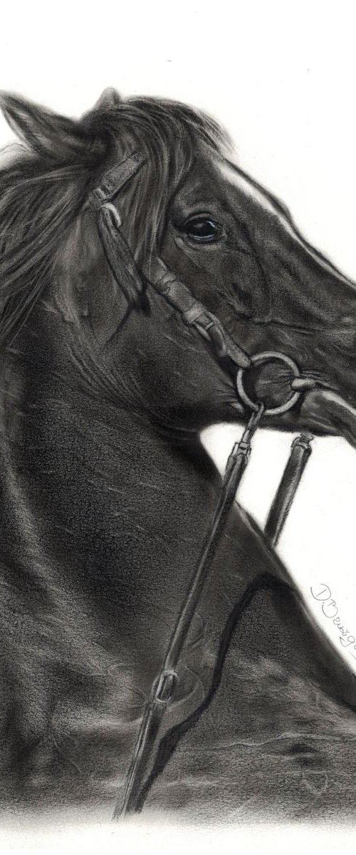Oil painting ,,  Horse ARTAX,, by Deimante Bruzguliene