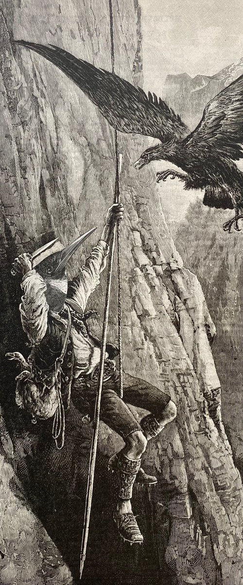 Climber by Tudor Evans