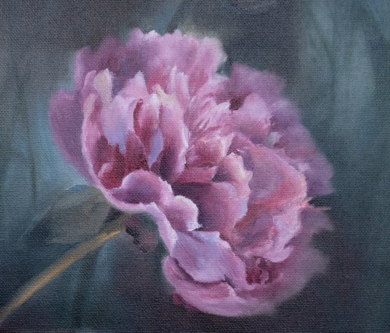 Peonies