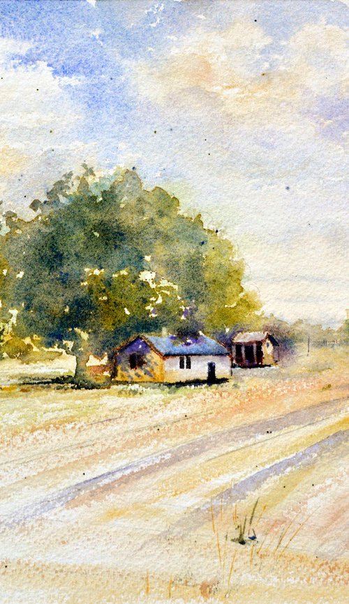 Big trees shadows Beograd 25x36 cm 2022 by Nenad Kojić watercolorist