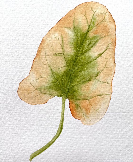 Autumn leaf Sketch #6