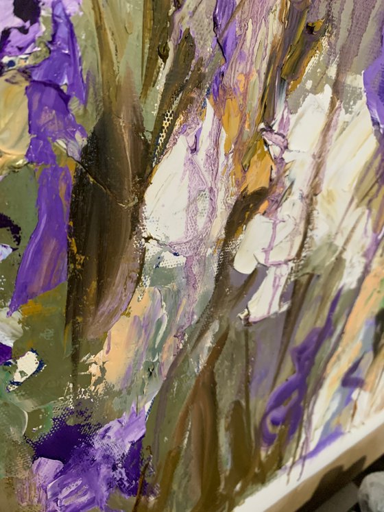 Lavender Breeze of irises.