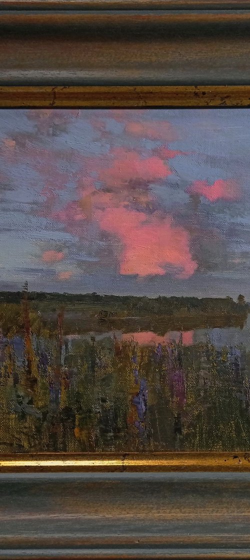After the May rain by Denys Gorodnychyi