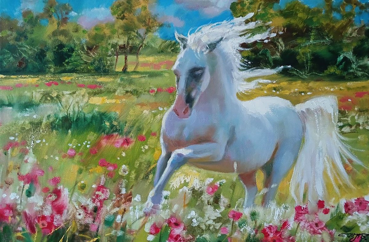 Expressive Oil Painting , A White Horse Gallops By Anatolii Tarab?nov, 9 X 6, Artwork For Sale On Artfinder