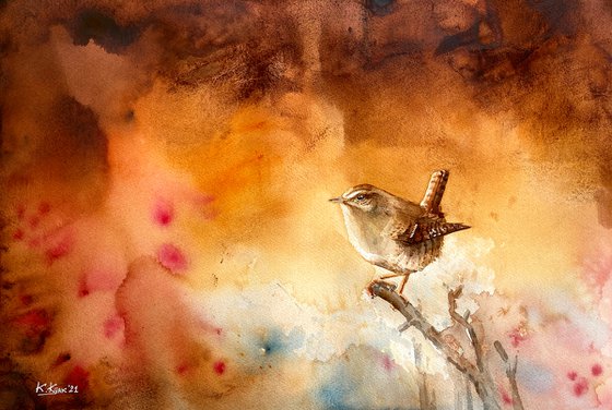 Wren, watercolor of birds and wildlife