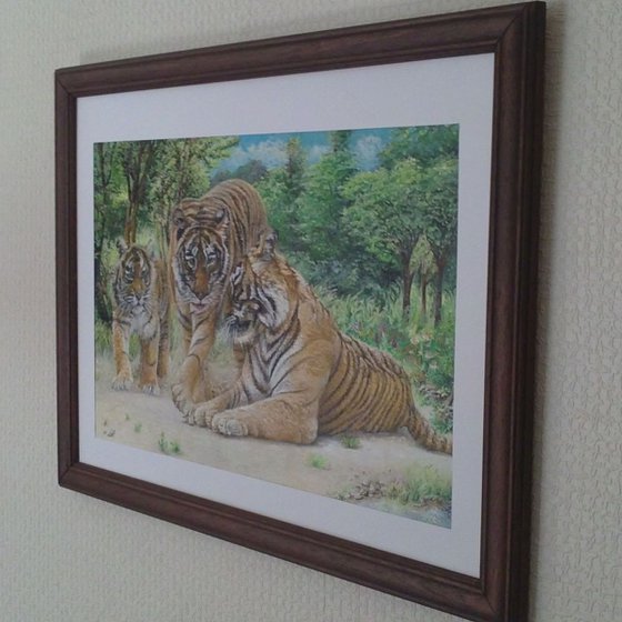 kings of the forest