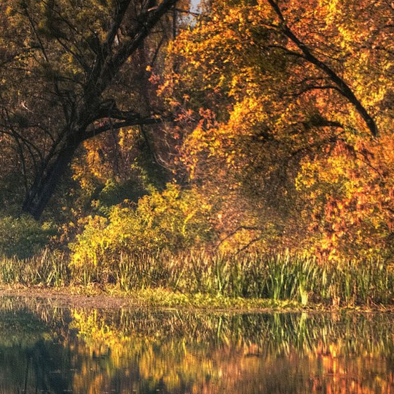 Panorama of autumn.