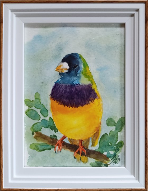 Bird
