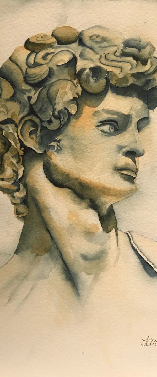 Michelangelo's 'David' by JANE  DENTON