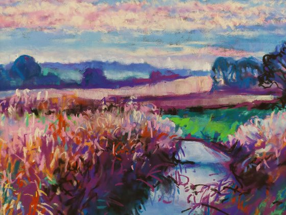 Colours of the Fens