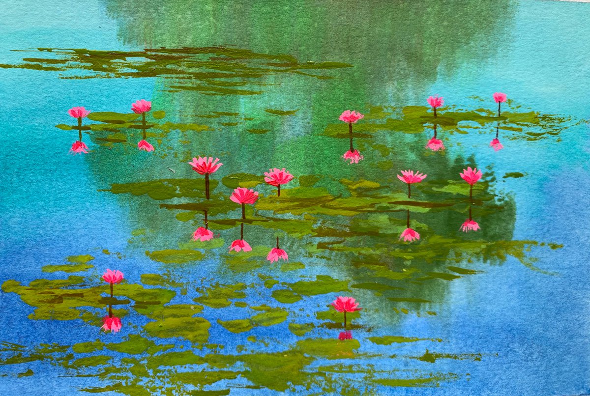 Water lilies by Amita Dand