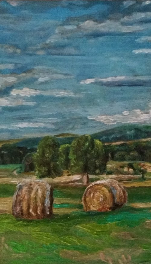 Hay bale by Viktória Déri