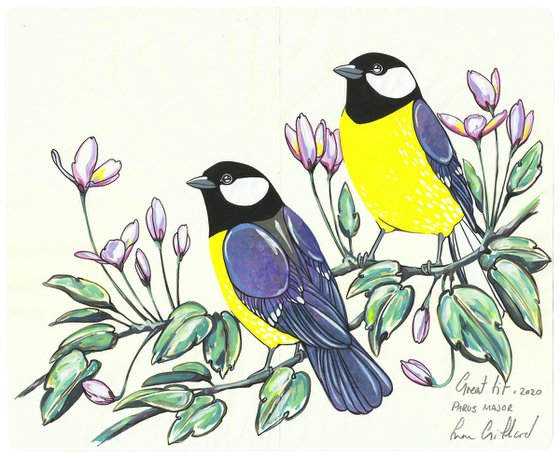 Great Tit and Clematis