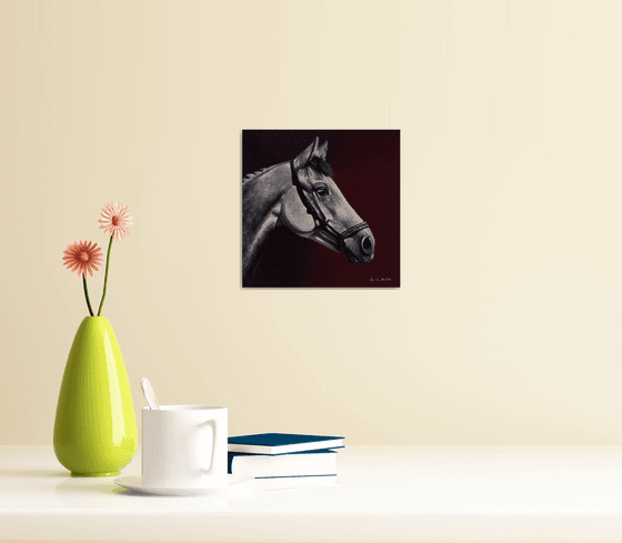 Horse Portrait 34