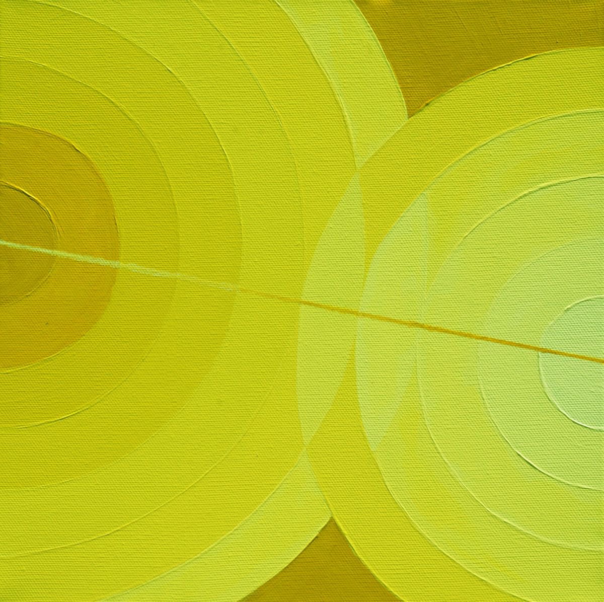 Geometric 007 (7+5 circles, 3 centimetres, 10 degrees) by Stephen Beer