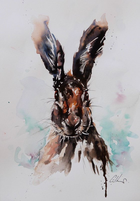 Hare.