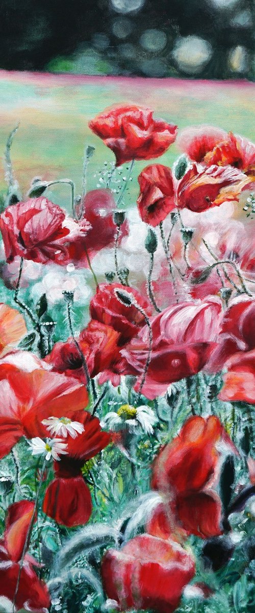 Poppies by Julia Kerrison