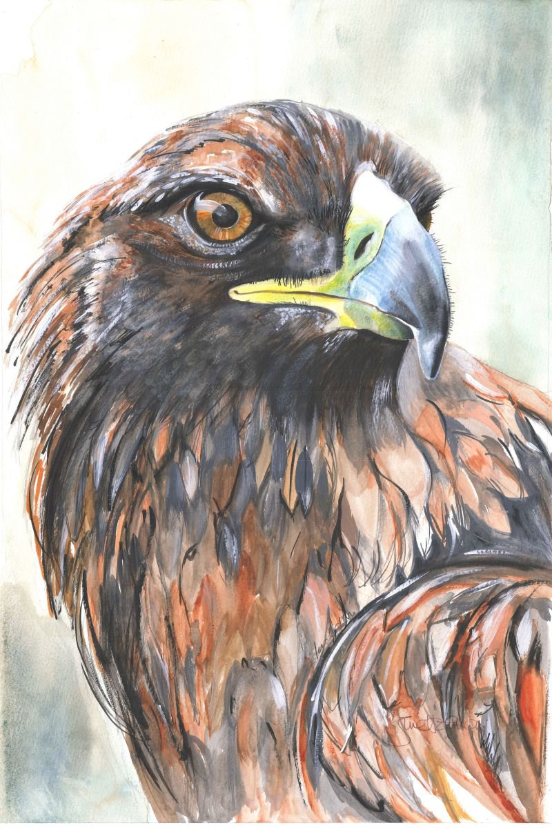 Eagle by June Holman
