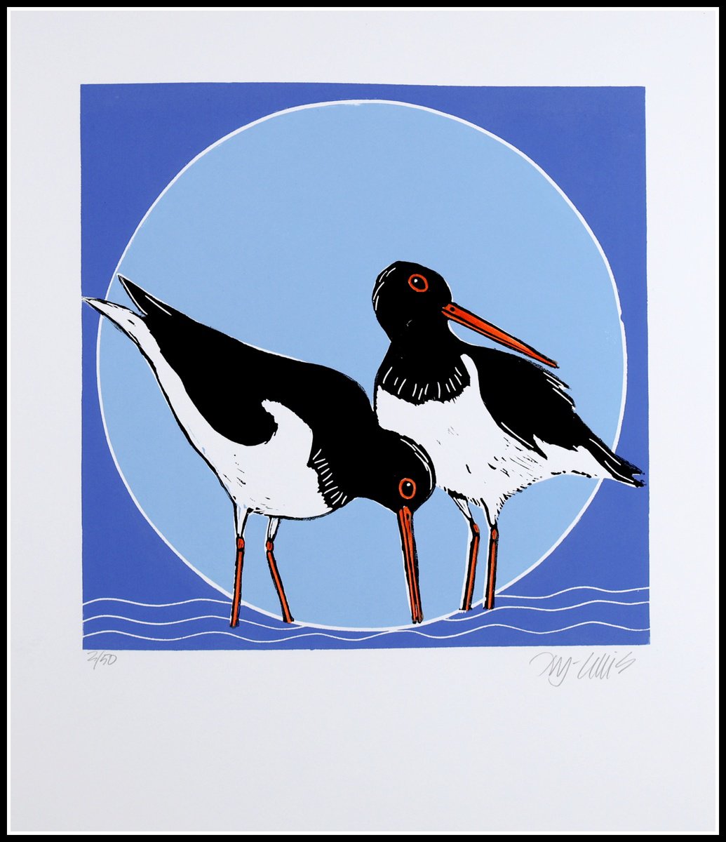 Oystercatchers by Mariann Johansen-Ellis