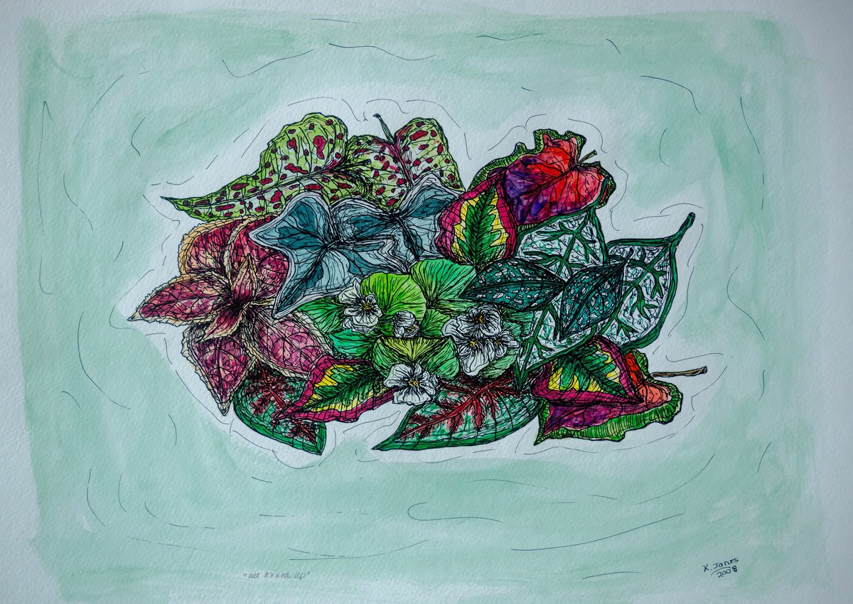 Photorealistic Watercolour , All Mixed Up By Kim Jones Miller, 15 X 11, Artwork For Sale On Artfinder