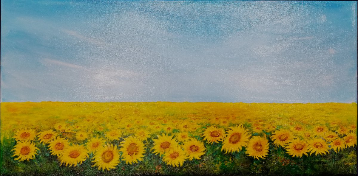 Sunshine Fields by Nataliya Studenikin