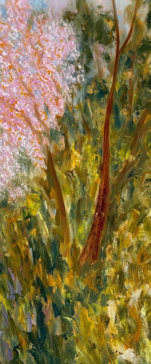 Wild Cherry Blossoms by Deepa Kern