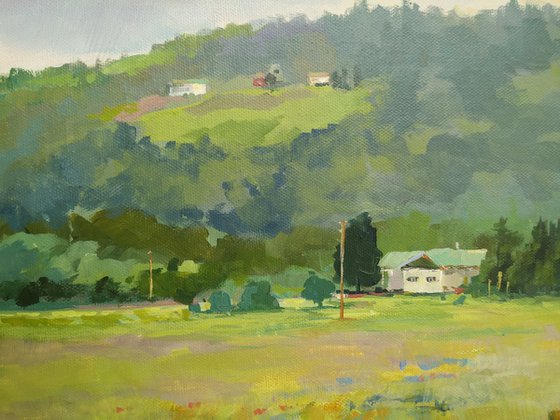 Fields by the Shore Rd