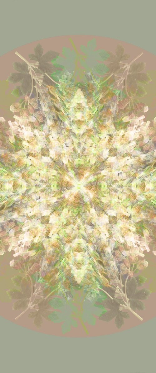 Botanical Mandala #3 by Louise O'Gorman