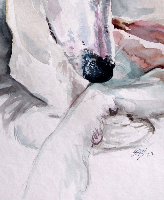 Cute dog portrait