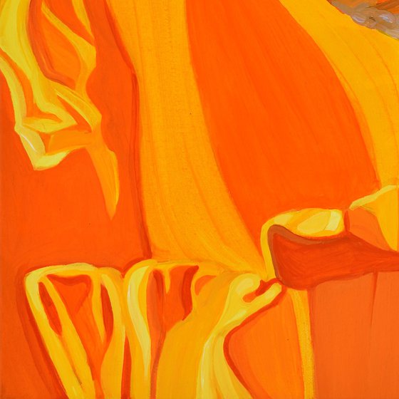 Californian Poppy and Wind #8