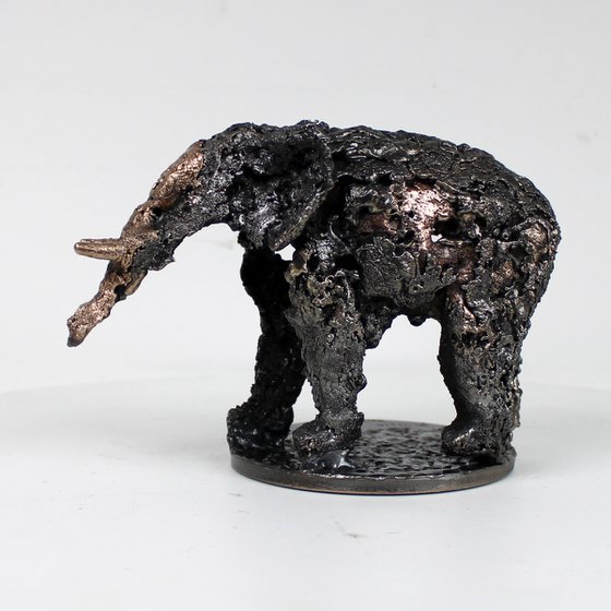 Elephant 28-23