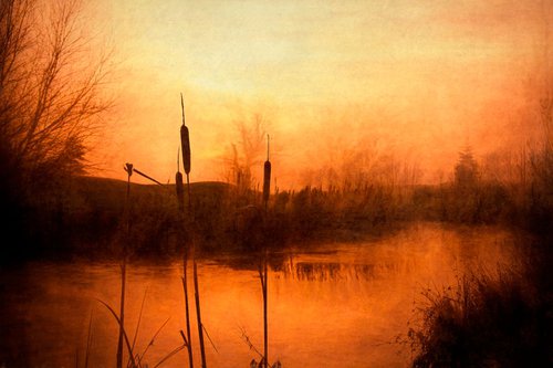 The Rushes at Sunset by Martin  Fry