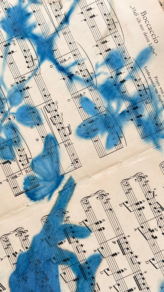 Muse №7 - Blue Spring on Vintage Sheet Music
