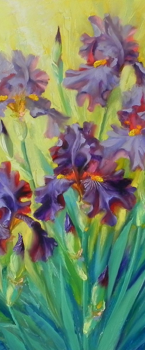 "Iris" by Yurii Novikov