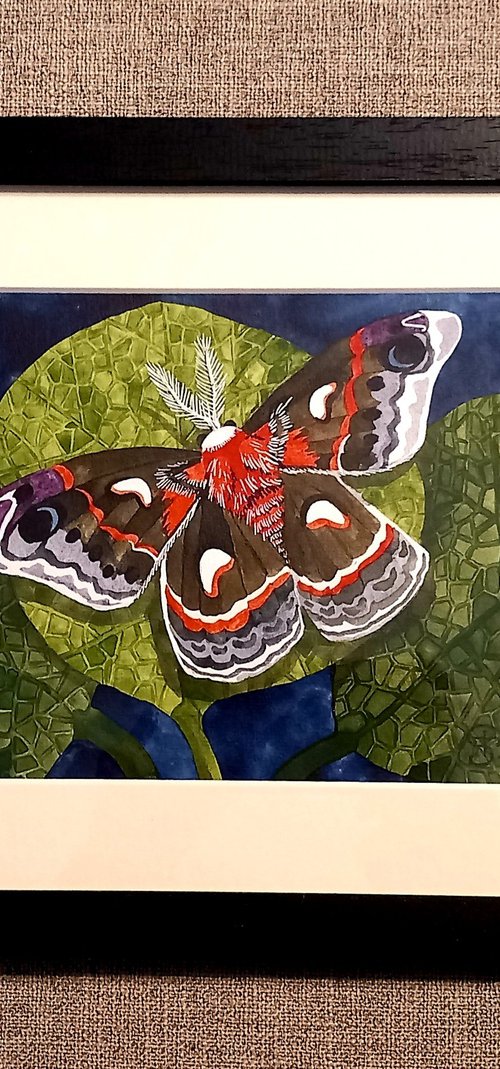 Cecropia Moth by Terri Smith